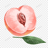 WWW,803av·COM网站APPAPP应用